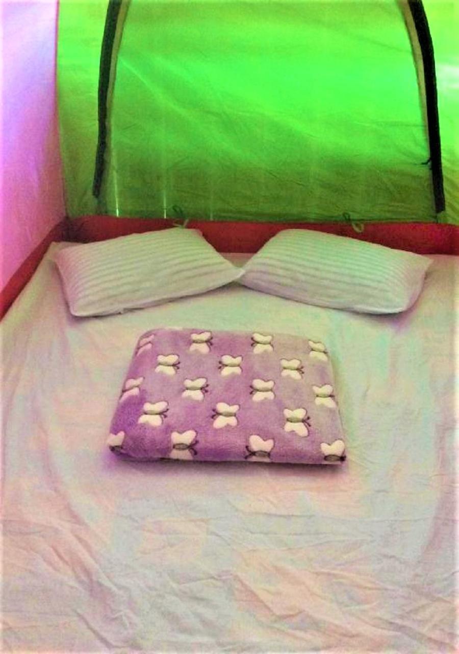 Ella Camping Resort Ngoại thất bức ảnh