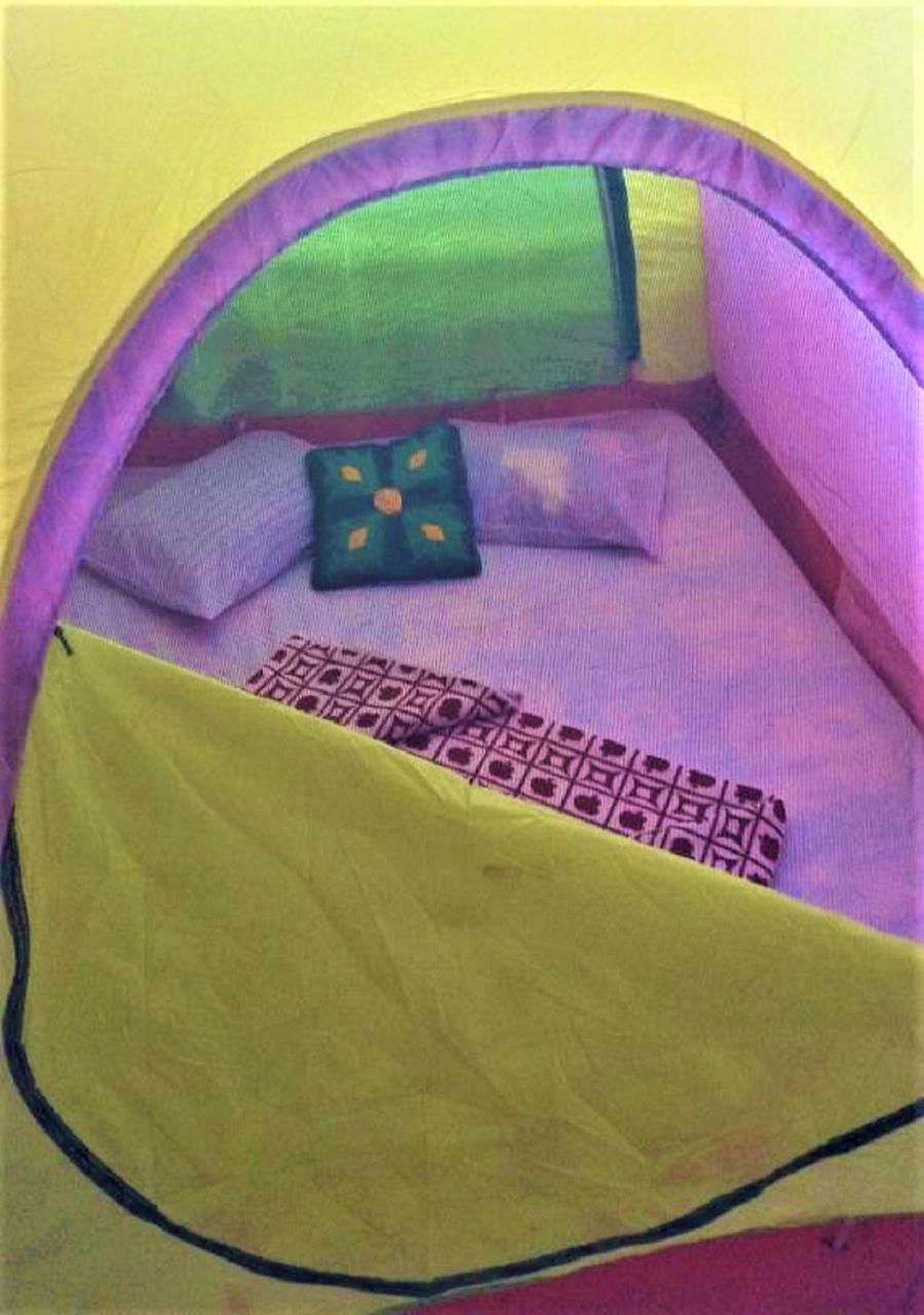 Ella Camping Resort Ngoại thất bức ảnh