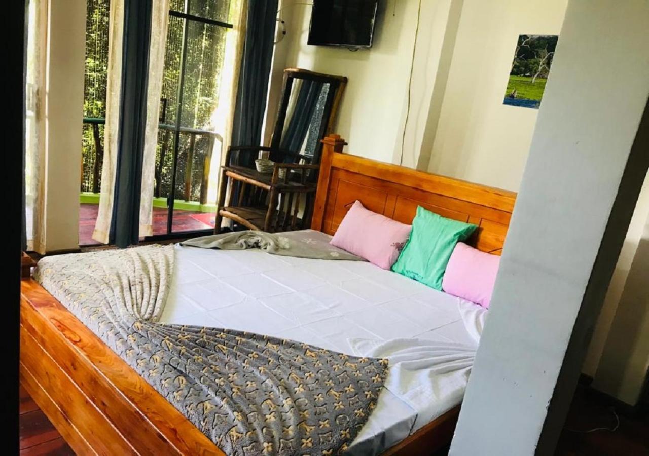 Ella Camping Resort Ngoại thất bức ảnh
