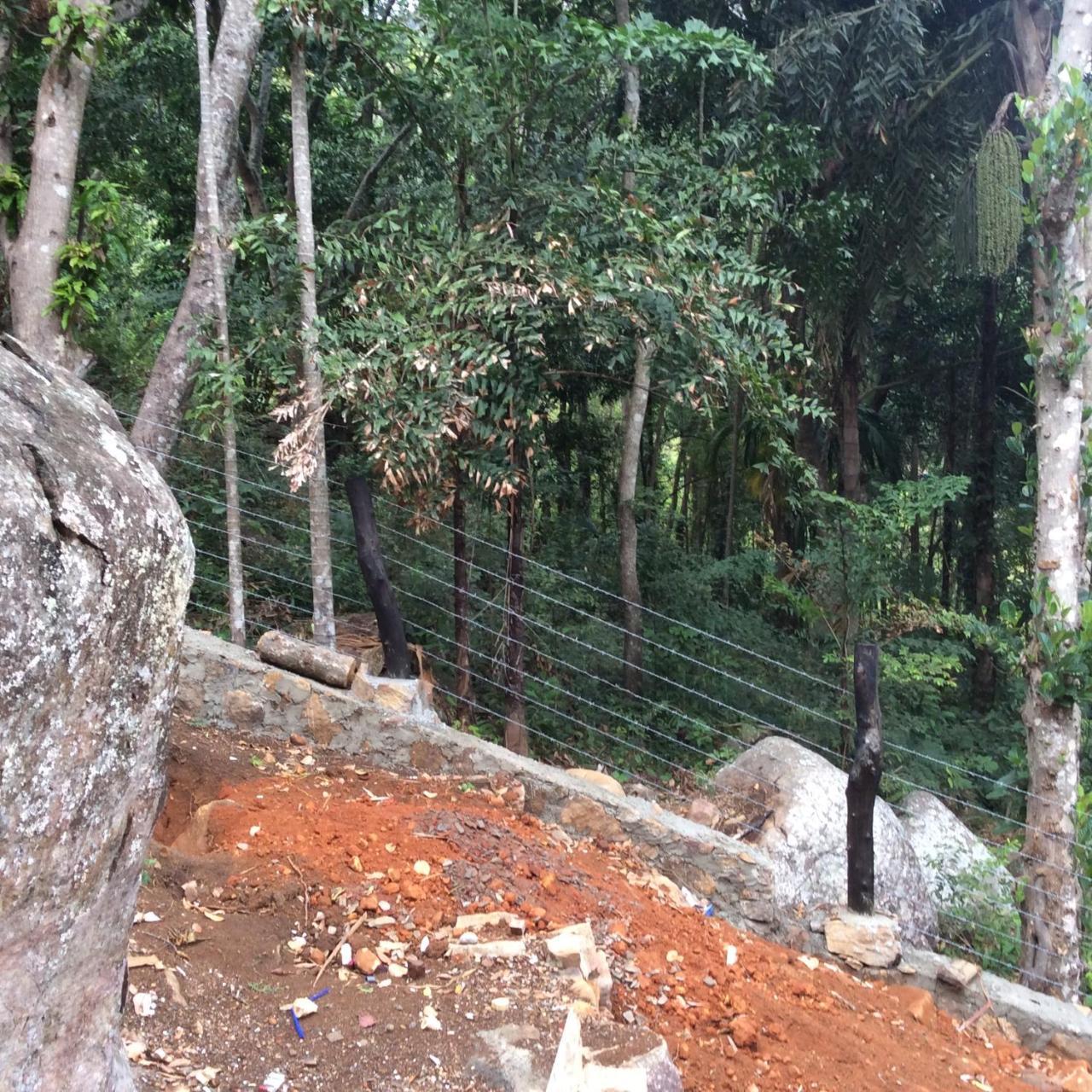 Ella Camping Resort Ngoại thất bức ảnh