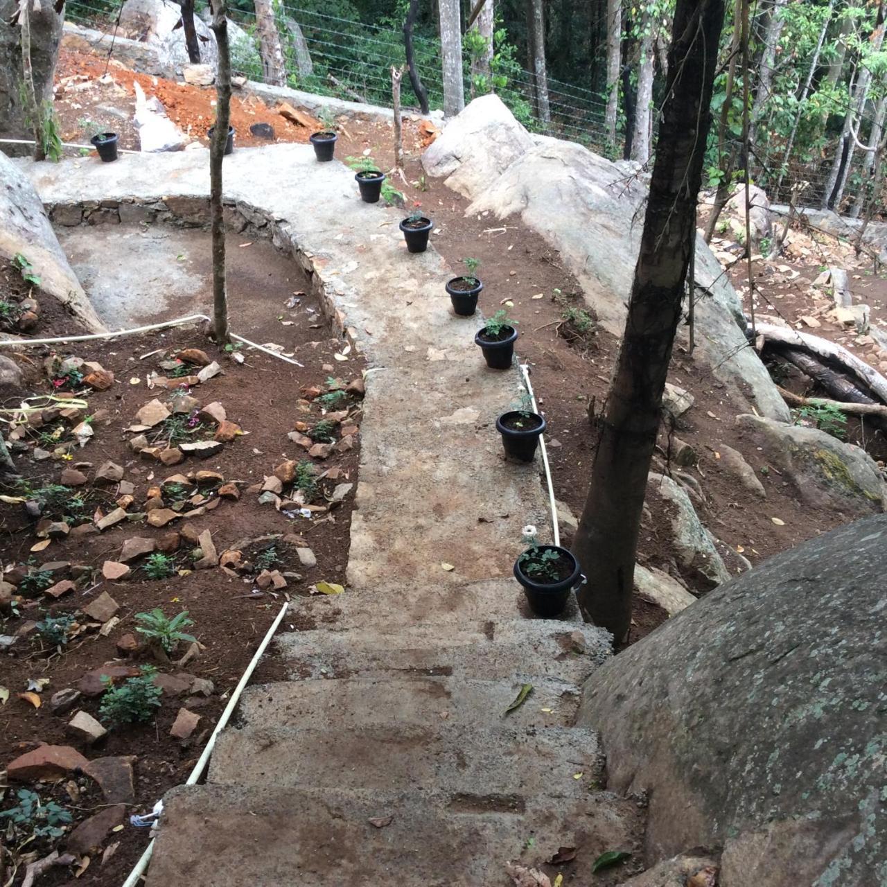 Ella Camping Resort Ngoại thất bức ảnh