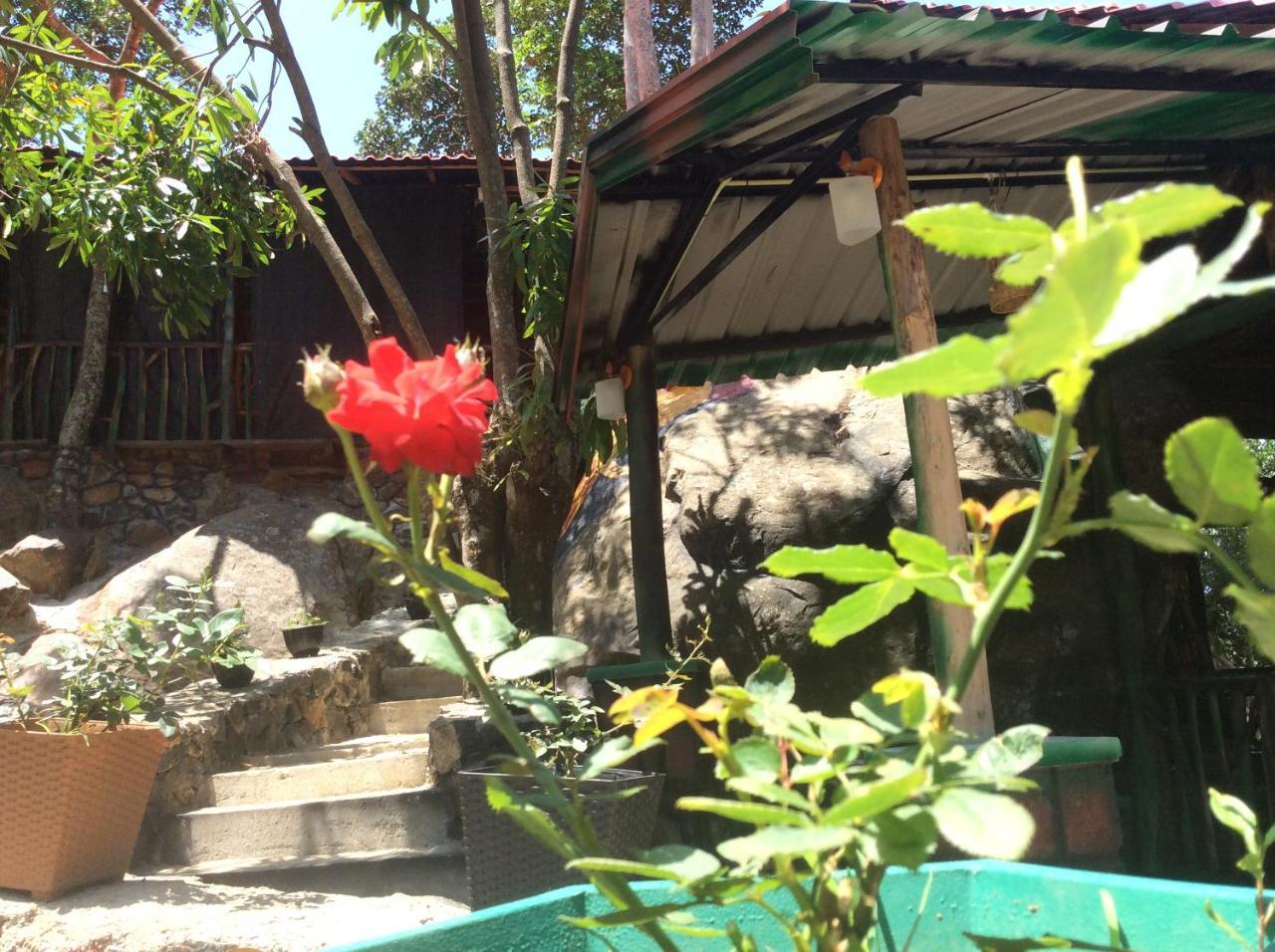 Ella Camping Resort Ngoại thất bức ảnh